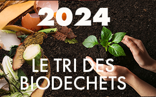 Le tri des biodéchets se généralise en 2024