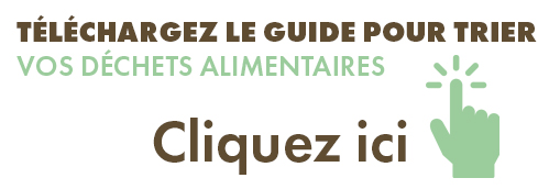 Bandeau-téléchargement-guide-pt